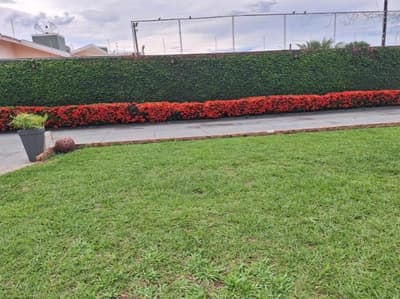 Foto 8 de 8: Terreno em leilão em José Bonifácio - SP — (50%) Casa, A.T. 1.961m², A.C. 261m²