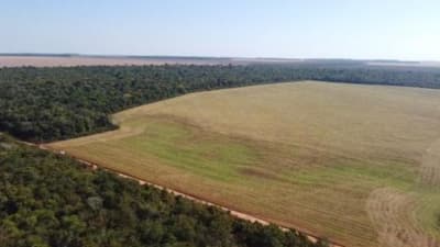 Foto 1 de 8: Area Rural em leilão em Vilhena - RO — IMÓVEL RURAL | A.T. 74,0462 HA | VILHENA/RO - LEILÃO EMPRESARIAL SISTÊMICO SICREDI