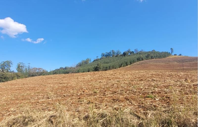Foto 8 de 8: Area Rural em leilão em Anchieta - SC — Lote Rural 72.600m² Desocupado em Anchieta/SC