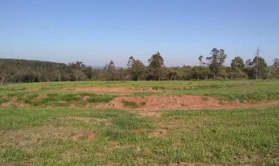 Foto 9 de 10: Area Rural em leilão em Nova Esperança - PR — IMÓVEL RURAL COM ÁREA TOTAL DE 30.548,00 m2 EM NOVA ESPERANÇA-PR