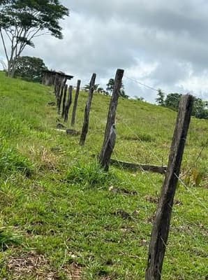 Foto 5 de 5: Area Rural em leilão em Alta Floresta D'oeste - RO — IMÓVEL RURAL| A.T. 12,10 HA SÍTIO STO. ANTÔNIO SETOR RIO BRANCO | ALTA FLORESTA DOESTE/RO