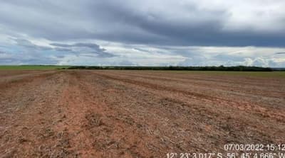 Foto 3 de 8: Area Rural em leilão em Tapurah - MT — Fazenda, Ocupado, TAPURAH / MT
