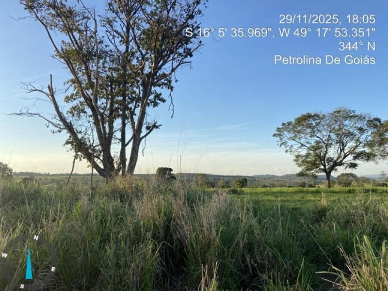 Foto 5 de 6: Terreno em leilão em Petrolina De Goiás - GO — Lote_Condominio, Petrolina de Goiás / GO