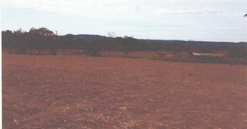 Foto 1 de 2: Area Rural em leilão em Bela Vista De Goiás - GO — IMÓVEL RURAL COM ÁREA DE 04.84.00 hectares - EM BELA VISTA DE GOIÁS/GO