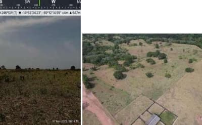 Foto 4 de 7: Area Rural em leilão em Pontes E Lacerda - MT — Imóvel Rural, 290,400 hectares