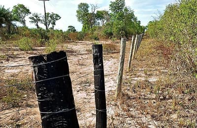 Foto 2 de 7: Area Rural em leilão em Santo Antônio De Leverger - MT — Imóvel Rural, A.T. 381,3610ha, Fazenda Lagoa Bonita