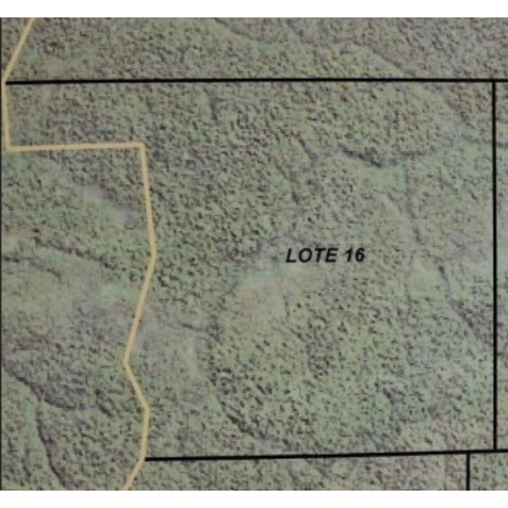Area Rural em leilão em Colniza - MT — Imóvel Rural com 3.027,7862 ha localizado no município de Colniza / MT - (LOTE 16)