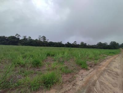 Foto 2 de 3: Terreno em leilão em São Pedro - SP, bairro Interior — TERRENO RURAL - SITIO PALMEIRINHA COM ÁREA TOTAL DE 6,09Ha - SÃO PEDRO/SP