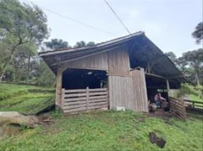 Foto 22 de 24: Area Rural em leilão em Correia Pinto - SC — IMÓVEL RURAL COM ÁREA TOTAL DE 122.223m² - CORREIA PINTO/SC