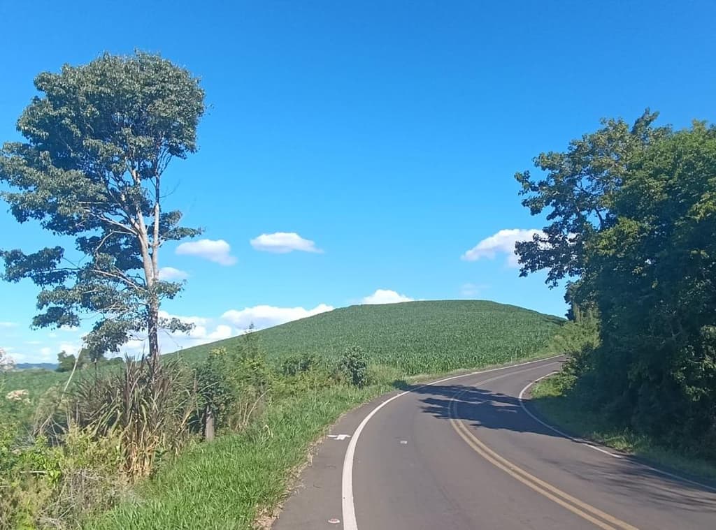 Foto 3 de 8: Area Rural em leilão em Salgado Filho - PR — IMÓVEL RURAL COM ÁREA TOTAL DE 92.407,85 m2- Em SALGADO FILHO/PR