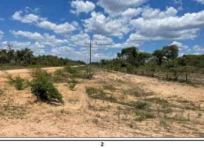 Foto 5 de 11: Area Rural em leilão em Barão De Melgaço - MT — Fazenda Baia São Benedito, área de 10.000 hectares, sem benfeitorias, Barão de Melgaço/MT