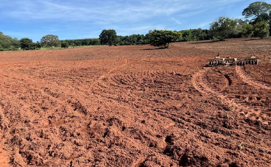 Foto 1 de 12: Area Rural em leilão em Dom Aquino - MT — IMÓVEL RURAL | A.T. 138,59 HA | DOM AQUINO - MT