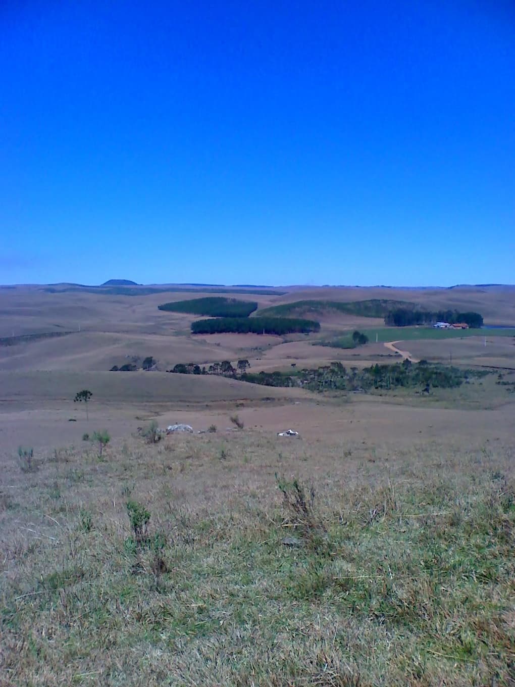 Foto 7 de 9: Area Rural em leilão em São José Dos Ausentes - RS — GLEBA DE TERRAS DE 20 ha LOCALIZADO EM SÃO JOSÉ DOS AUSENTES /RS - SEM BENFEITORIAS - MATRICULA 9.797