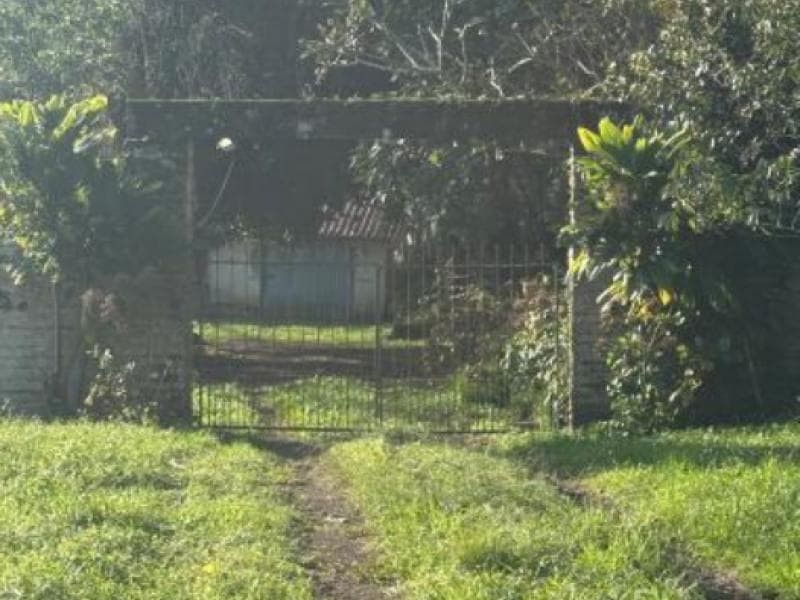 Foto 11 de 12: Area Rural em leilão em Igrejinha - RS, bairro Morro Mico — Chacara_Sitio, 3.3 ha, Igrejinha / RS
