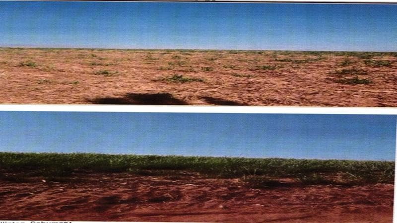 Foto 4 de 6: Area Rural em leilão em Mineiros - GO — IMÓVEL RURAL | A.T. 80,0453 HA | FAZENDA RIO VERDE LD NOVO HORIZONTE | MINEIROS/GO