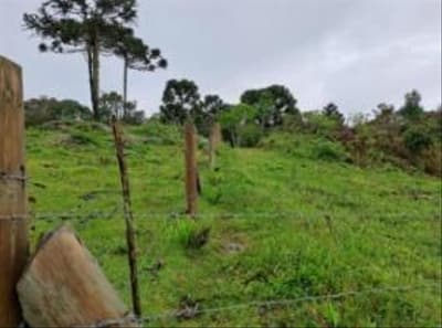 Foto 3 de 24: Area Rural em leilão em Correia Pinto - SC — IMÓVEL RURAL COM ÁREA TOTAL DE 122.223m² - CORREIA PINTO/SC