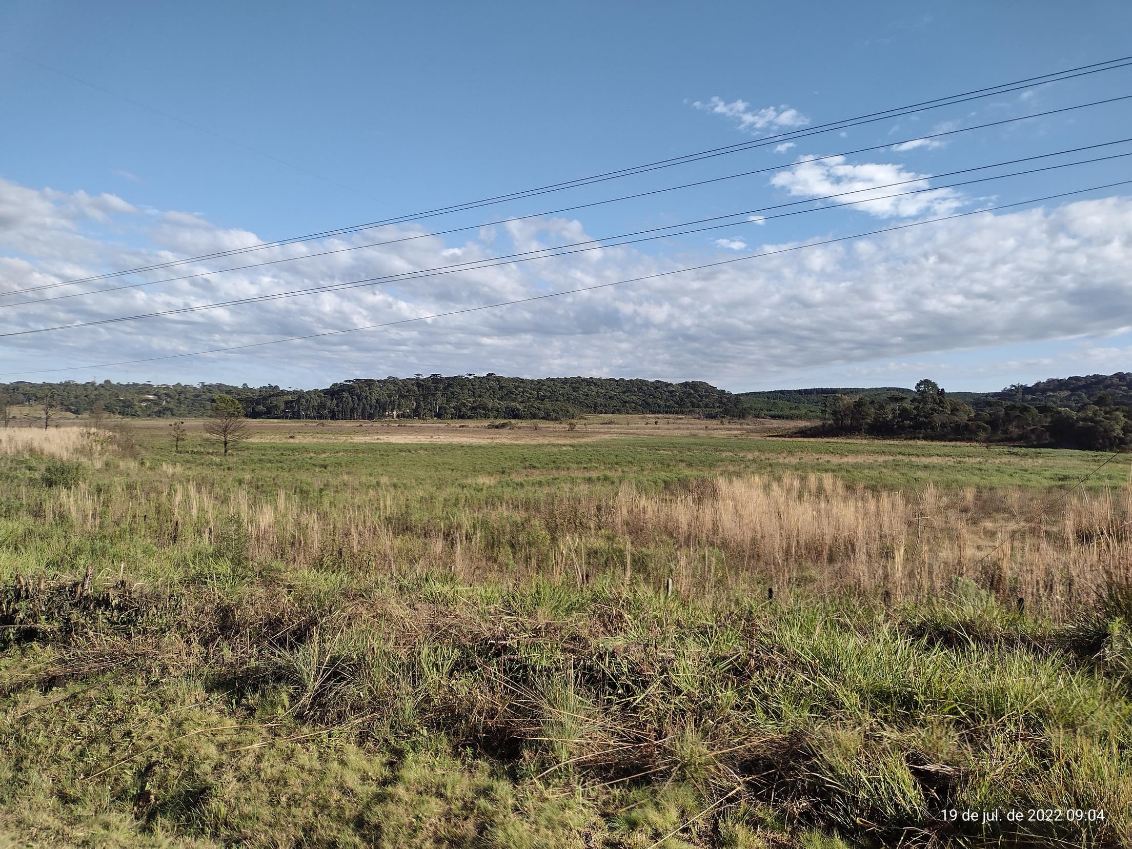 Foto 46 de 50: Terreno em leilão em Irati - PR — Terreno rural com área de 74.282,70m², Irati/PR