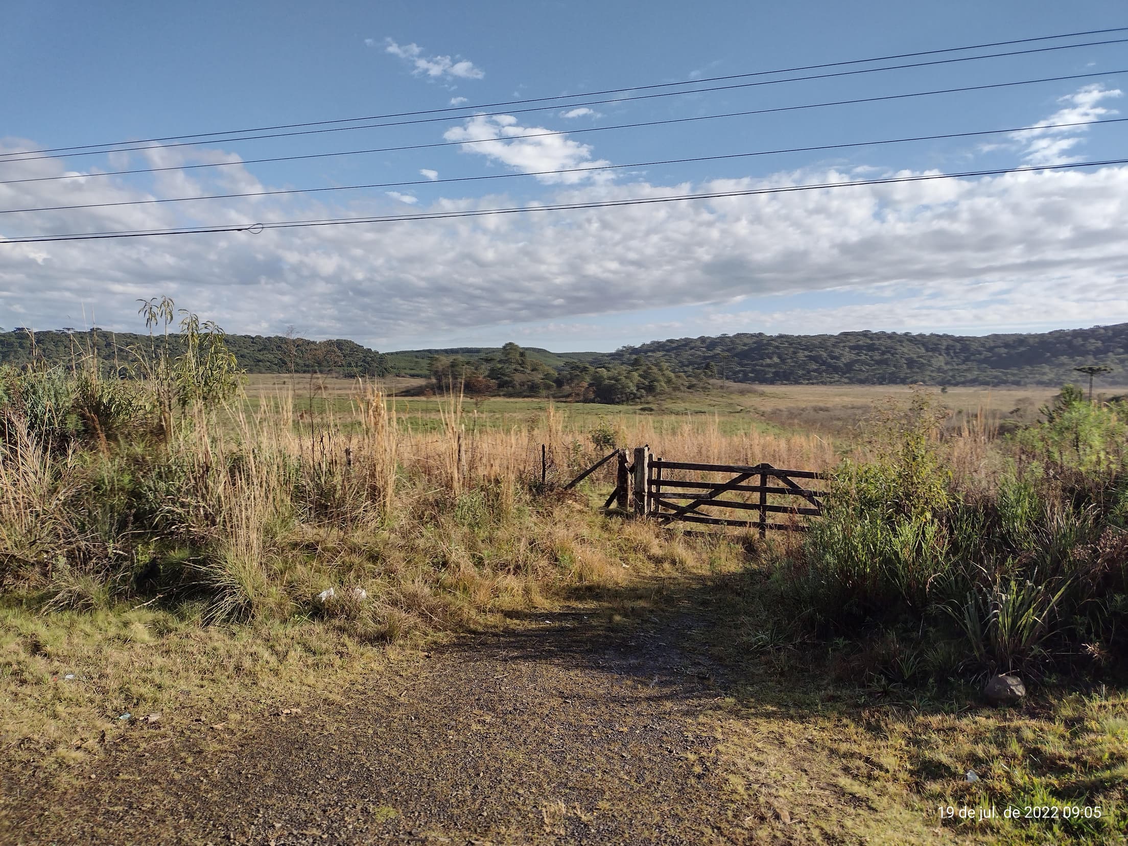 Foto 44 de 50: Terreno em leilão em Irati - PR — Terreno rural com área de 74.282,70m², Irati/PR