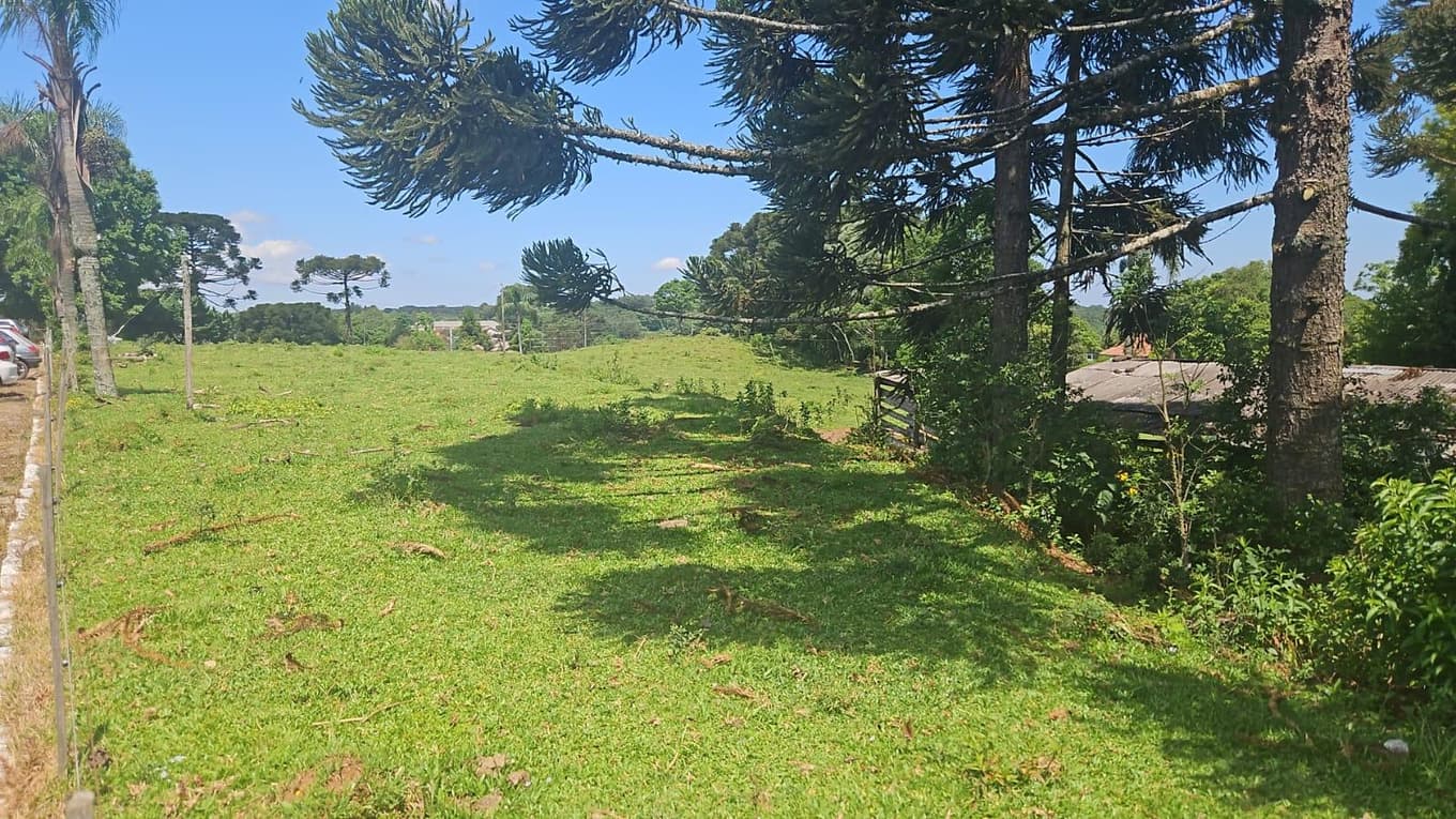 Comercial em leilão em Nova Petrópolis - RS — COMPLEXO INDUSTRIAL EM NOVA PETRÓPOLIS RS