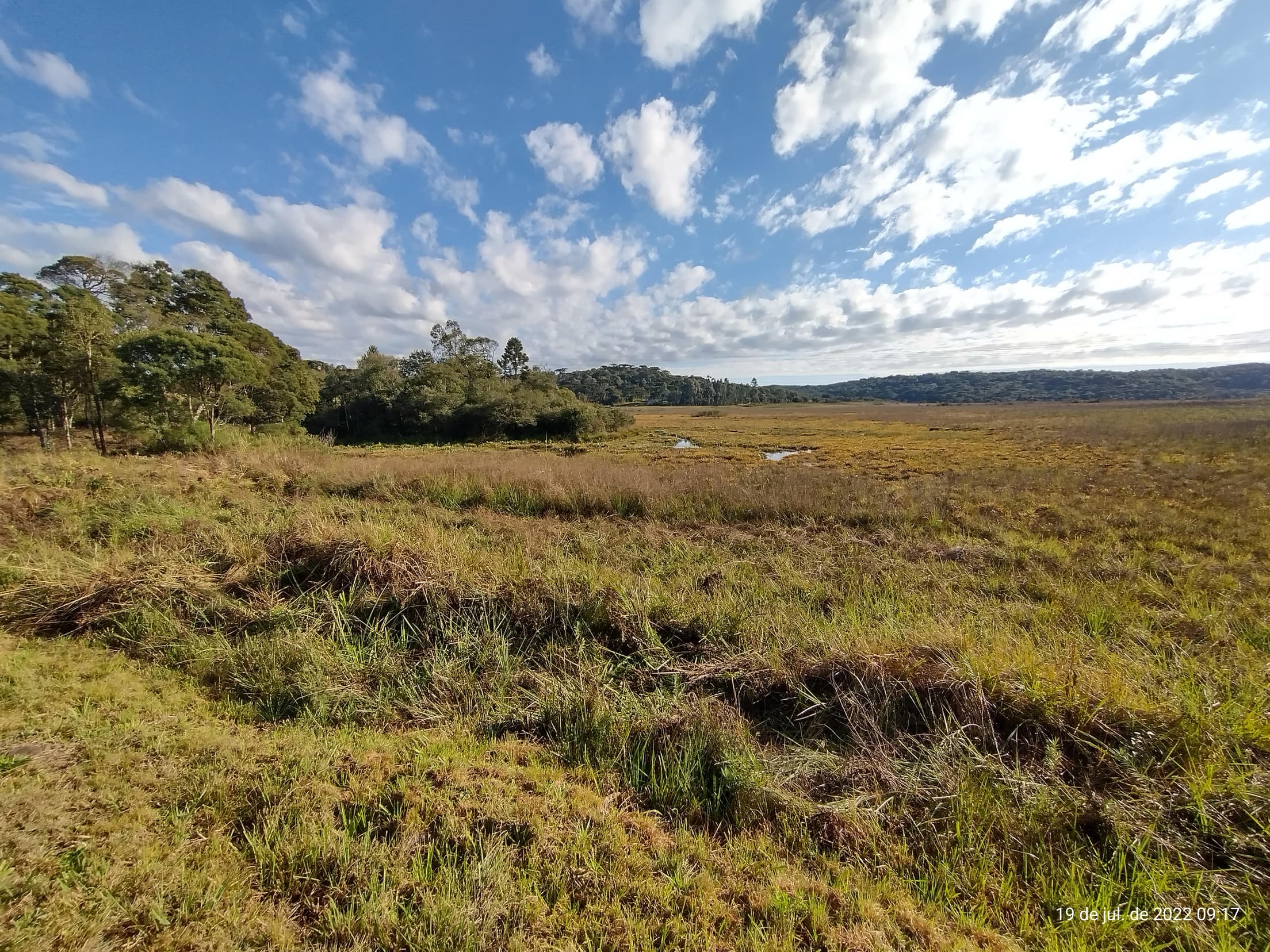Foto 8 de 50: Terreno em leilão em Irati - PR — Terreno rural com área de 74.282,70m², Irati/PR