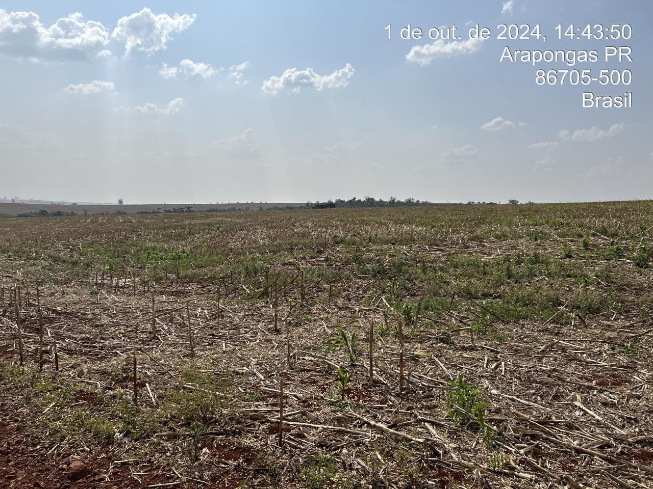 Foto 2 de 21: Area Rural em leilão em Arapongas - PR — Fração ideal de 6,255% do Lote rural, coma área 28100,83m², Arapongas/PR