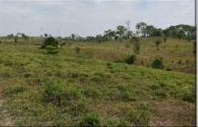 Foto 2 de 4: Terreno em leilão em Sena Madureira - AC, bairro Zona Rural — IMÓVEL RURAL | A.T. 62,9785 HA | ASSENTAMENTO BOA ESPERANÇA EM SENA MADUREIRA/AC