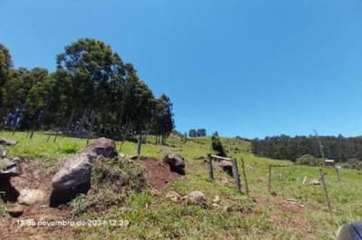 Foto 7 de 16: Area Rural em leilão em Pinhão - PR — Imóvel rural, 242.766,02 m², denominado Torres, Município e Comarca de Pinhão-PR
