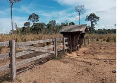 Foto 4 de 6: Area Rural em leilão em Apiacás - MT — IMÓVEL RURAL - 98,614HA - ESTÂNCIA SOUZA III EM APIACÁS/MT - EXPLORAÇÃO AGROPECUÁRIA COM BENFEITORIAS