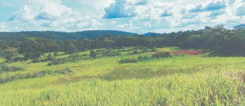 Foto 11 de 24: Area Rural em leilão em Alta Floresta D'oeste - RO — IMÓVEL RURAL | A.T 68,82 HA | ALTA FLORESTA DOESTE/RO