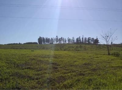Foto 1 de 10: Area Rural em leilão em Nova Esperança - PR — IMÓVEL RURAL COM ÁREA TOTAL DE 30.548,00 m2 EM NOVA ESPERANÇA-PR