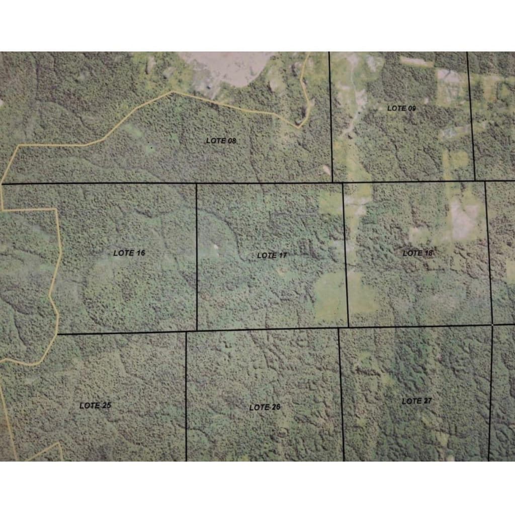 Foto 2 de 2: Area Rural em leilão em Colniza - MT — Imóvel Rural com 3.079,7272 ha localizado em Colniza/MT - (LOTE 18)