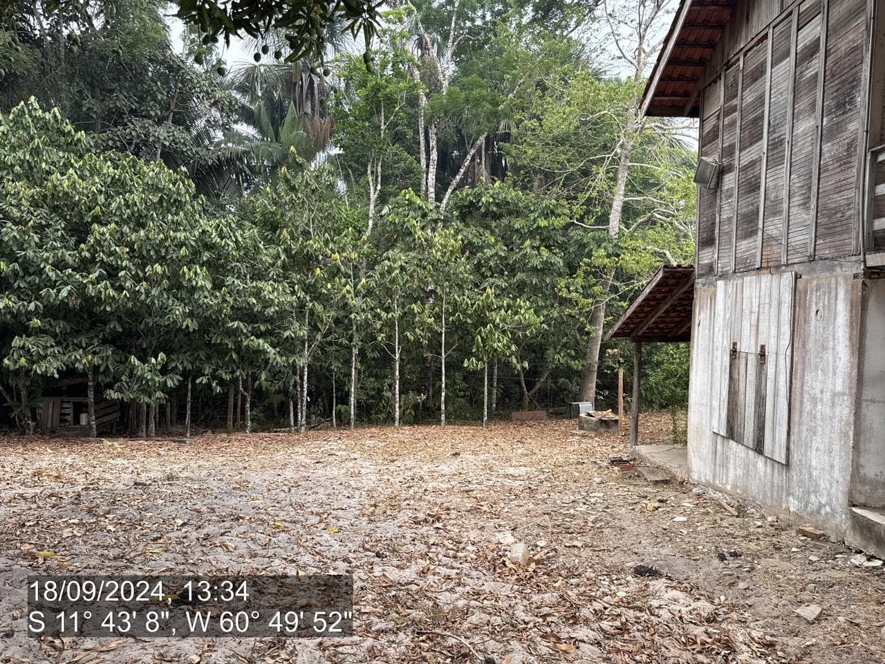 Foto 9 de 20: Area Rural em leilão em Pimenta Bueno - RO — IMÓVEL RURAL | A. T. 63,4635 HA | PIMENTA BUENO/RO - LEILÃO EMPRESARIAL SISTÊMICO SICREDI