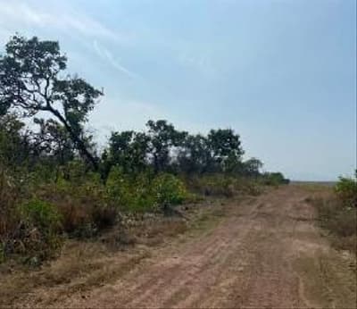 Foto 3 de 3: Area Rural em leilão em Loreto - MA — IMÓVEL RURAL, A.T.508,9640HA, FAZENDA SANTA MARIA EM LORETO-MA
