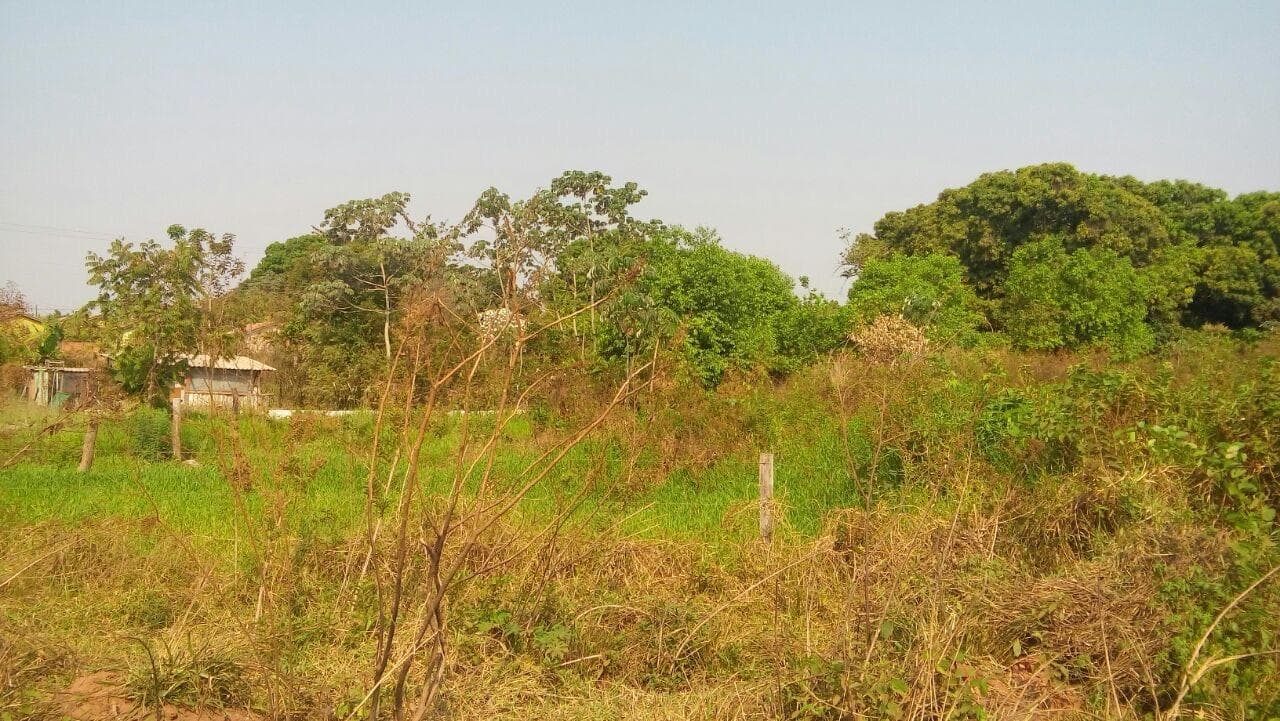 Foto 12 de 18: Terreno em leilão em Cáceres - MT — Terreno com 9.987m², Desocupado no Panorama em Cáceres/MT