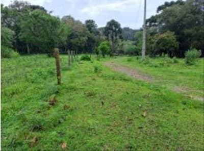 Foto 5 de 24: Area Rural em leilão em Correia Pinto - SC — IMÓVEL RURAL COM ÁREA TOTAL DE 122.223m² - CORREIA PINTO/SC