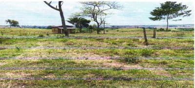 Foto 2 de 8: Area Rural em leilão em Corumbiara - RO — IMÓVEL RURAL | A.T. 27.2712 HA (VERDE SERINGAL) | CORUMBIARA/RO