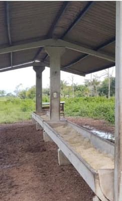 Foto 5 de 6: Area Rural em leilão em Vilhena - RO — IMÓVEL RURAL | 46,7273 HA - SETOR RIO VERMELHO - PECUÁRIA | VILHENA/RO