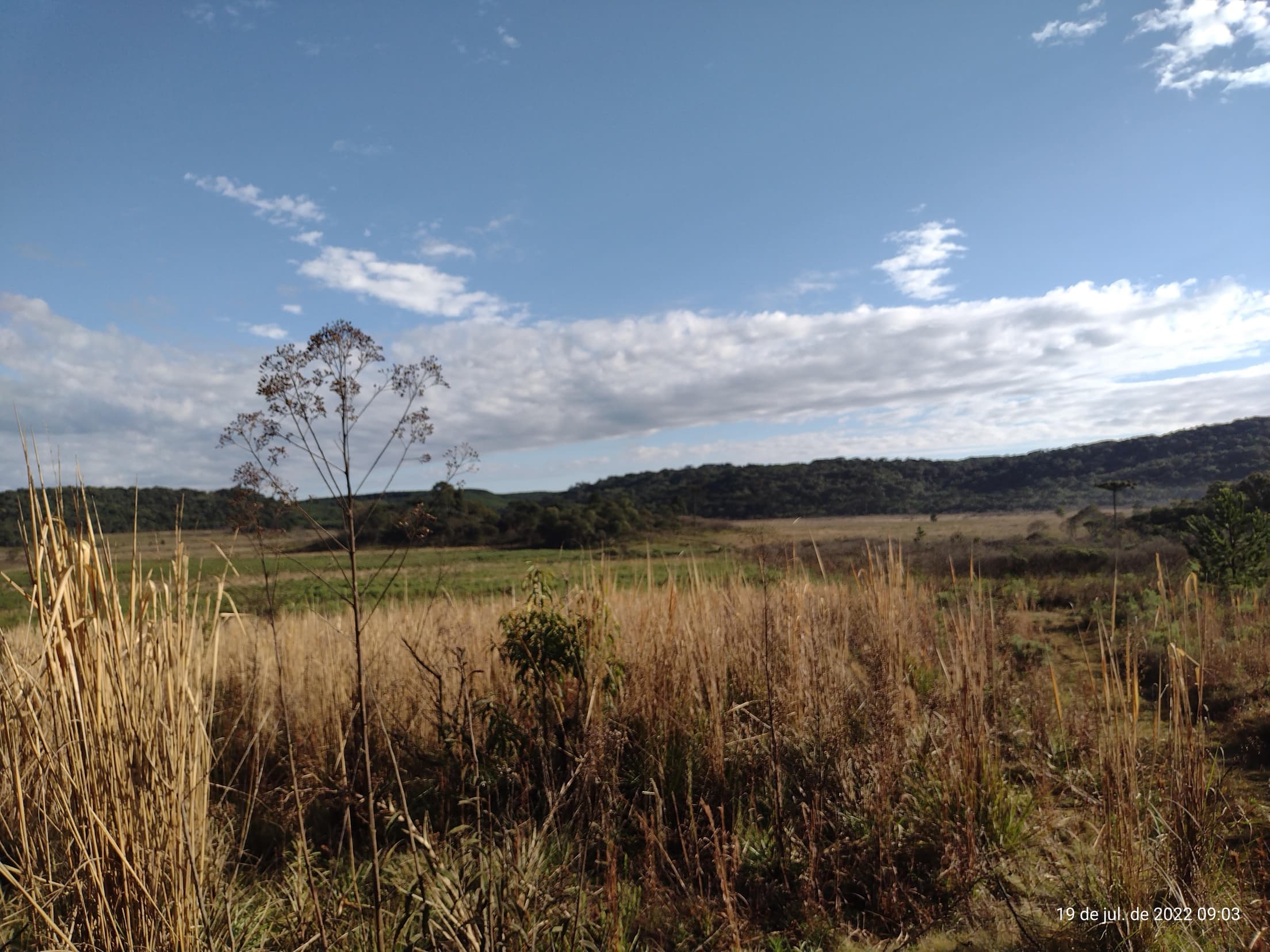 Foto 40 de 50: Terreno em leilão em Irati - PR — Terreno rural com área de 74.282,70m², Irati/PR