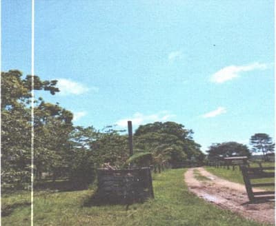 Foto 3 de 4: Area Rural em leilão em Juína - MT — IMÓVEL RURAL | A.T. 193,6 HA FAZ. GRAMADO | CASTANHEIRA MT