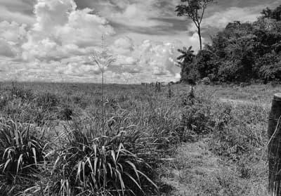 Foto 20 de 21: Terreno em leilão em Pimenta Bueno - RO — Fração ideal de 1,1% lotes de terras rural n. 82 e 92 com área total de 3.676,0340ha, Pimenta Bueno/RO