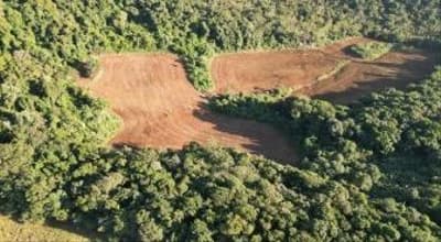 Foto 5 de 13: Area Rural em leilão em Nova Esperança Do Sudoeste - PR — LOTE RURAL EM SALTO DO LONTRA-PR
