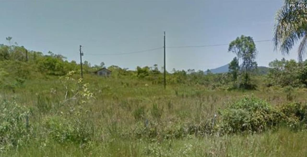 Foto 5 de 6: Area Rural em leilão em Guaraqueçaba - PR — Imóvel rural com 249,80 hectares, em Guaraqueçaba/PR.