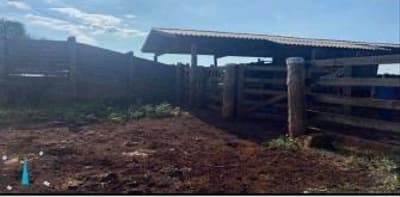 Foto 7 de 8: Area Rural em leilão em Nova Olímpia - MT — IMÓVEL RURAL COM 140.6662HA EM NOVA OLÍMPIA-MT COMARCA DE BARRA DO BUGRES-MT