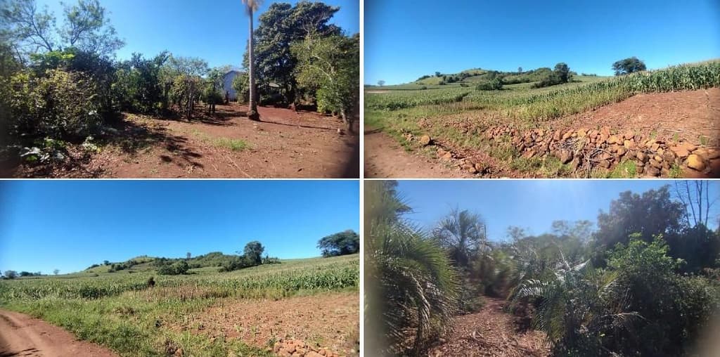 Foto 6 de 12: Area Rural em leilão em Pérola D'oeste - PR — Parte Ideal (5%) Lote Rural com A.T. 84.000m², Município de Pérola DOeste/PR