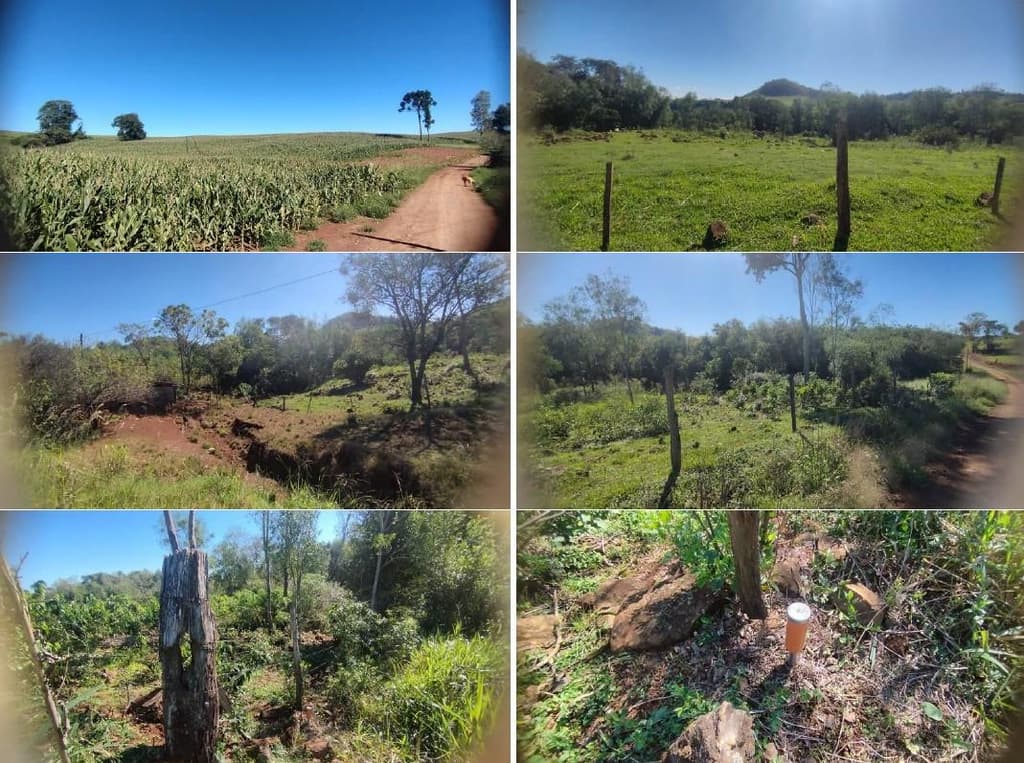 Foto 7 de 12: Area Rural em leilão em Pérola D'oeste - PR — Parte Ideal (5%) Lote Rural com A.T. 84.000m², Município de Pérola DOeste/PR