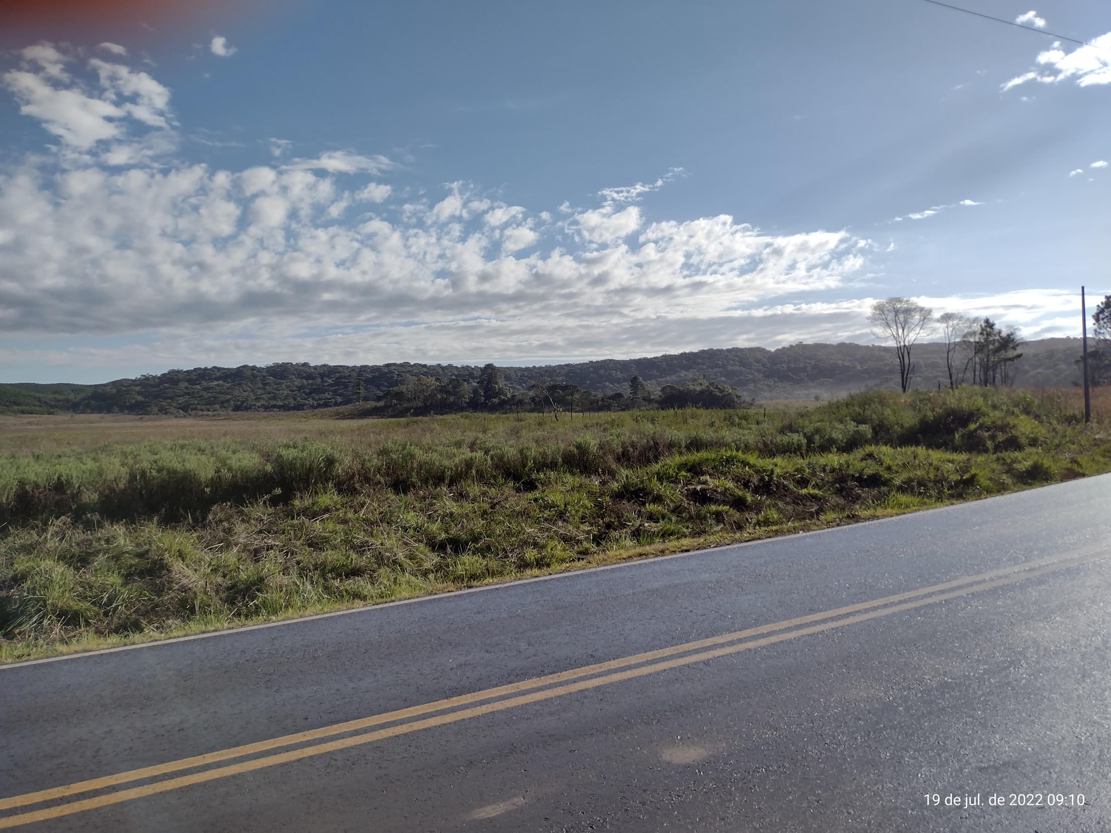 Foto 25 de 50: Terreno em leilão em Irati - PR — Terreno rural com área de 74.282,70m², Irati/PR