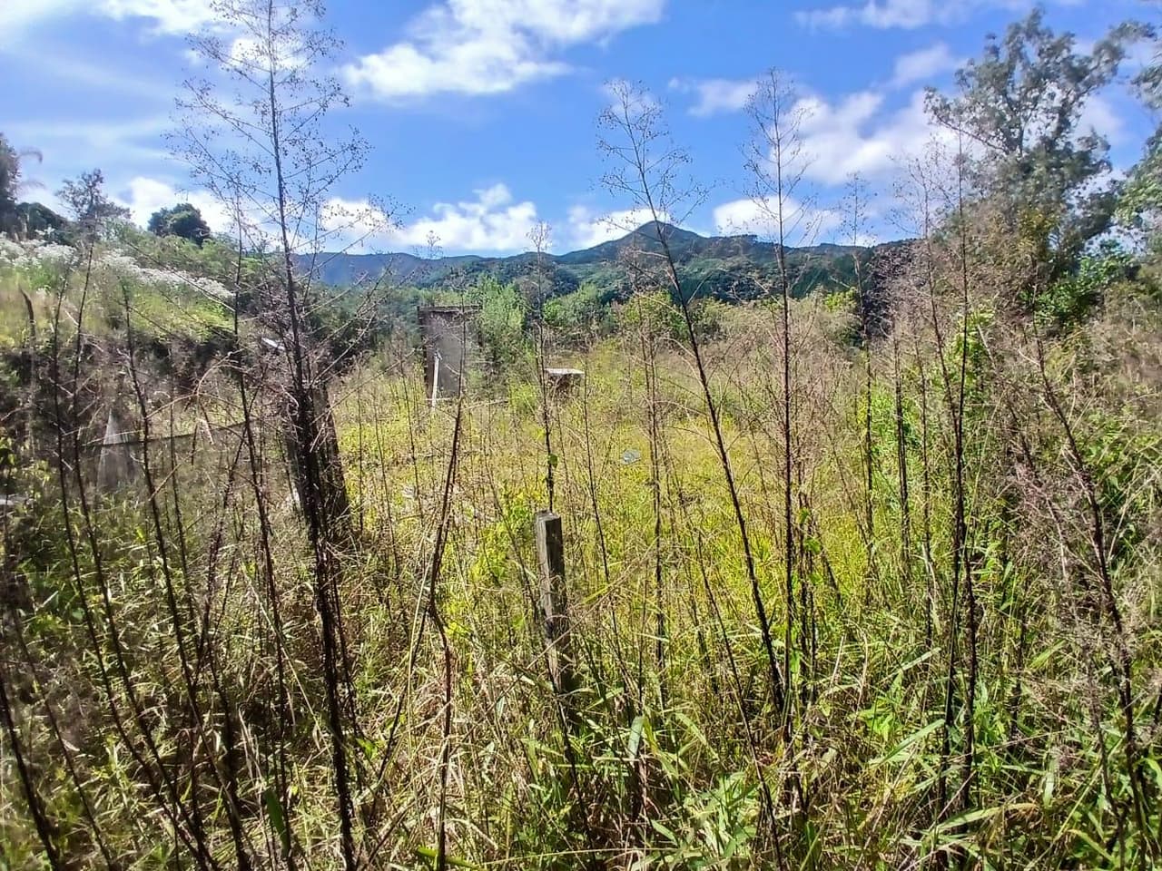 Foto 9 de 18: Area Rural em leilão em Anitápolis - SC — IMÓVEL RURAL COM ÁREA TOTAL DE 30.704,71m². EM ANITÁPOLIS-SC