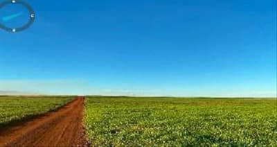Foto 4 de 5: Area Rural em leilão em Monte Do Carmo - TO — IMÓVEL RURAL PARA AGRICULTURA 271,6972HA, FAZ. PARAÍSO EM MONTE DO CARMO-TO