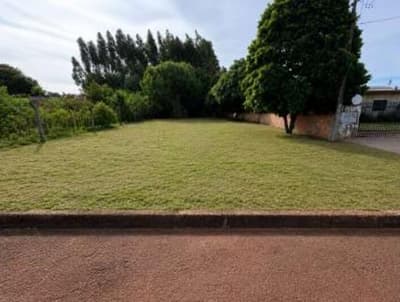 Terreno em leilão em Palotina - PR, bairro Imigrantes — IMÓVEL URBANO COM ÁREA TOTAL DE 653,83m2 - PALOTINA-PR