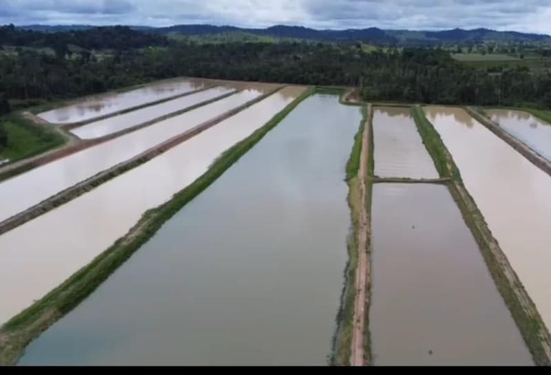 Foto 3 de 3: Area Rural em leilão em Alta Floresta D'oeste - RO — IMÓVEL RURAL | 37,5100HA - EXPLORAÇÃO PISCICULTURA | GLEBA CORUMBIARA, SETOR PARECIS I, ALTA FLORESTA D OESTE/RO